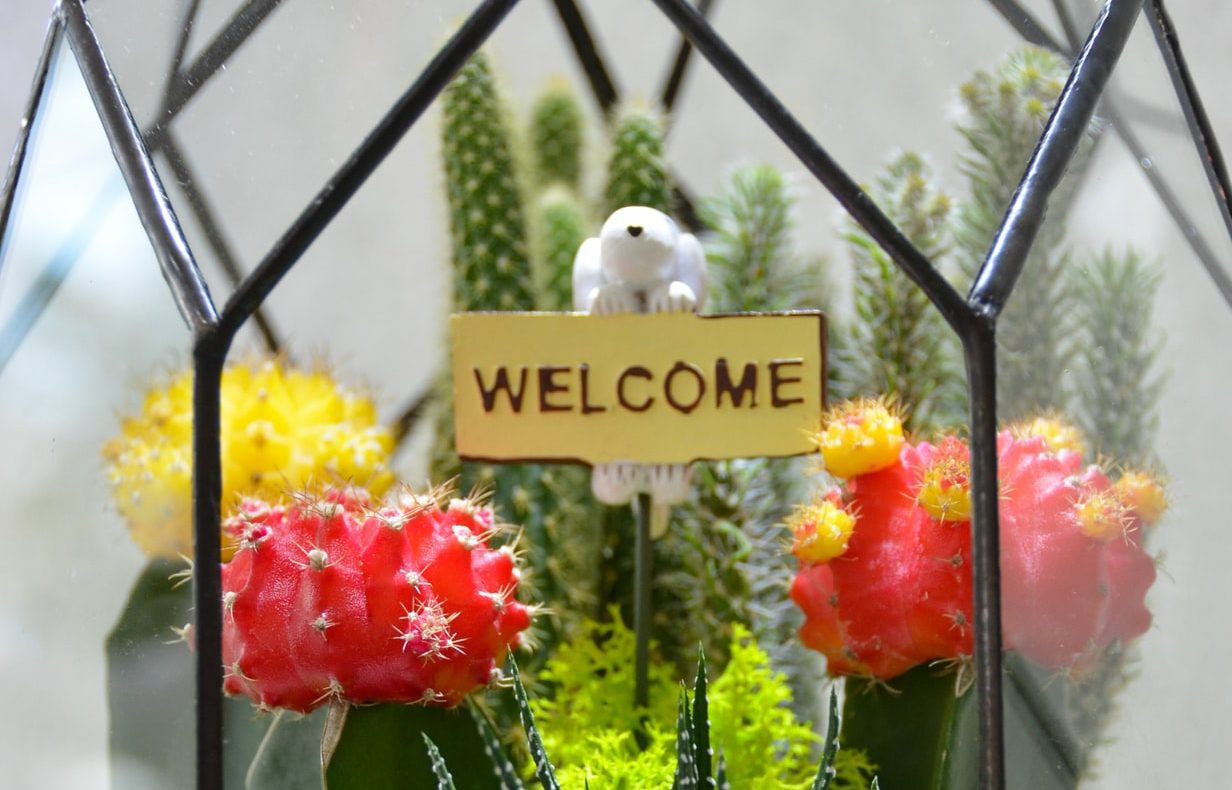 wooden welcome sign in cursive on a fake shrub background