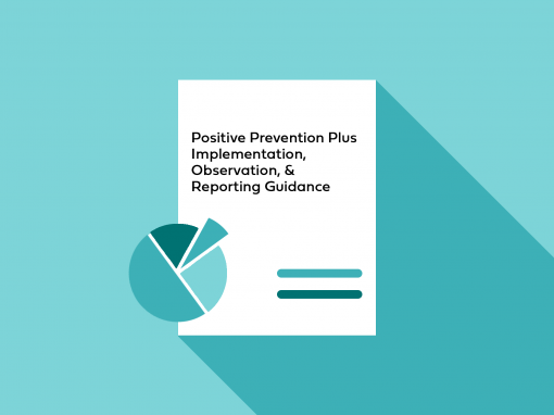 Positive Prevention Plus Adaptation and Implementation Guidance