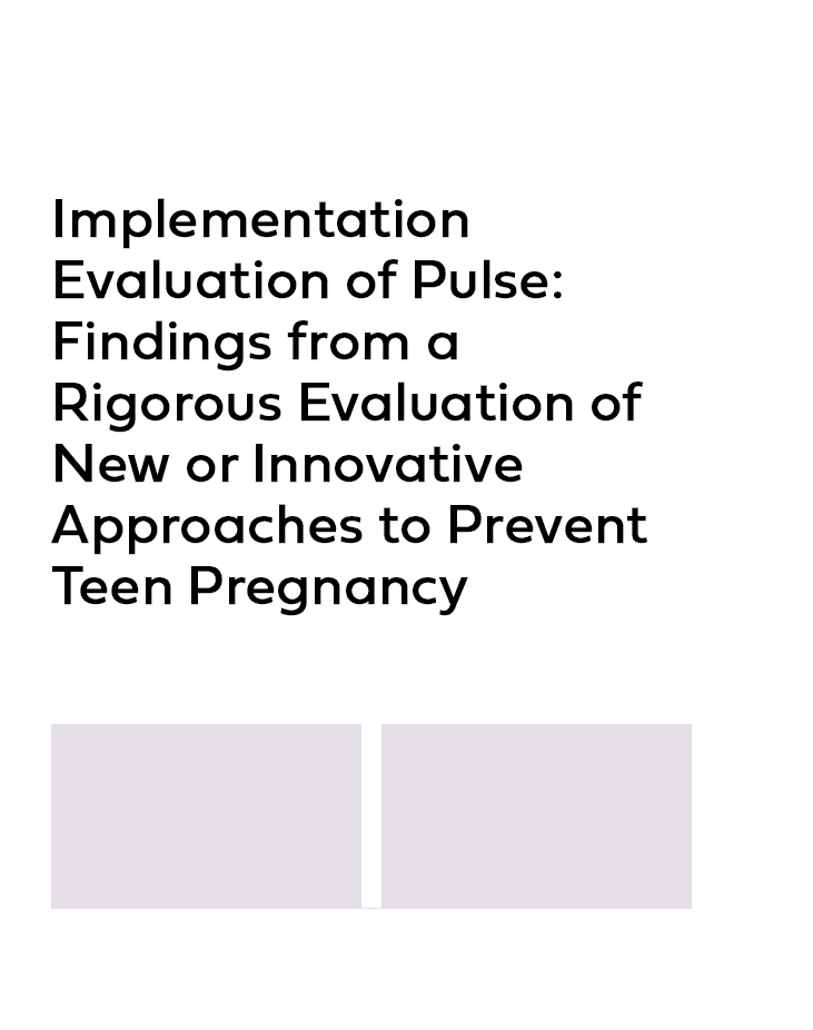 Product Image Implementation Evaluation of Pulse