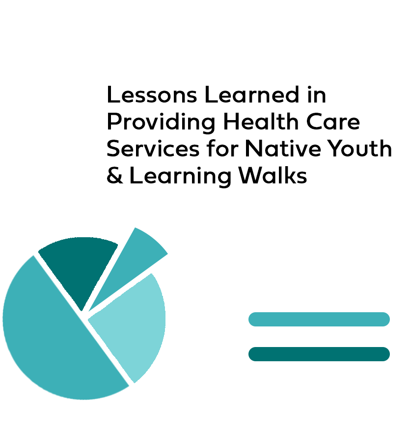 Product Image of teal shades pie chart with text Lessons Learned in Providing Health Care Services for Nation Youth & Learning Walks