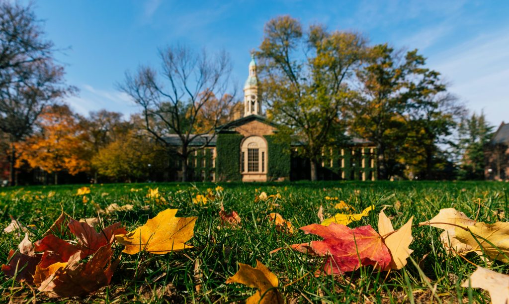 photo of leaves fallen on green grass of a campus quad