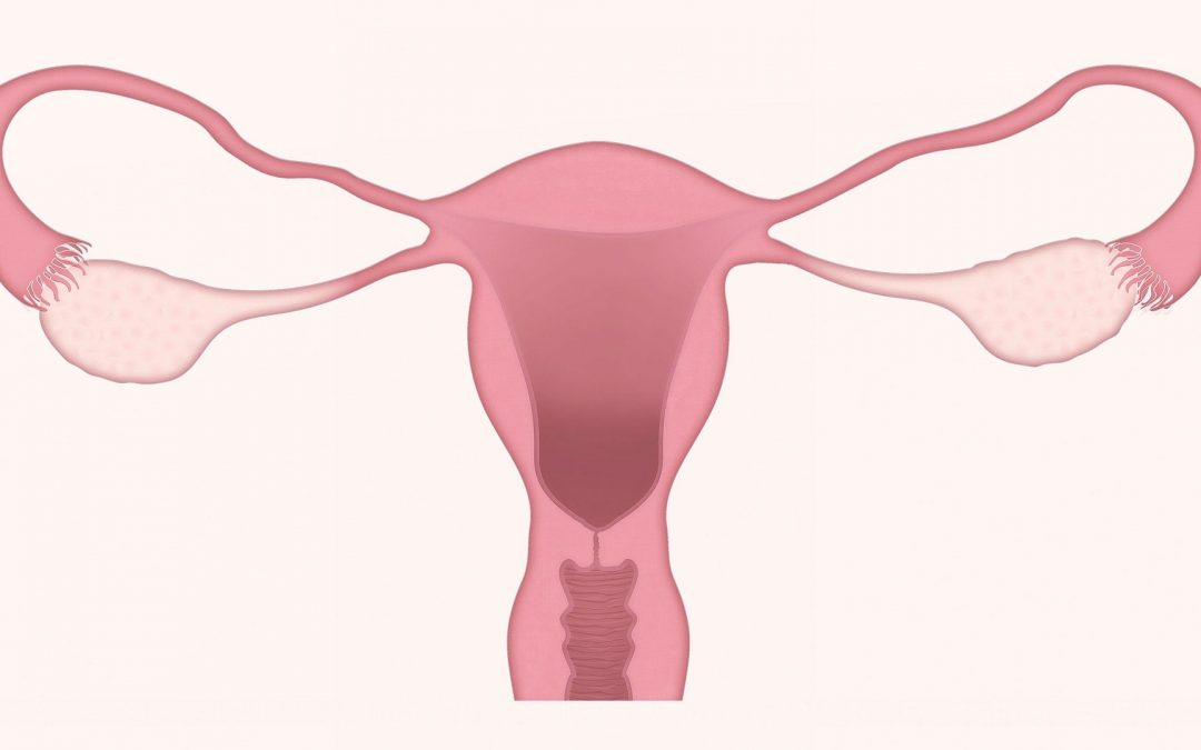 What is Endometriosis?